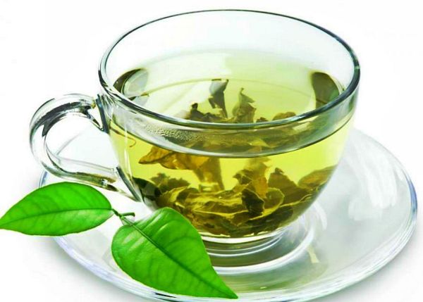 зеленый чай для лечения почек