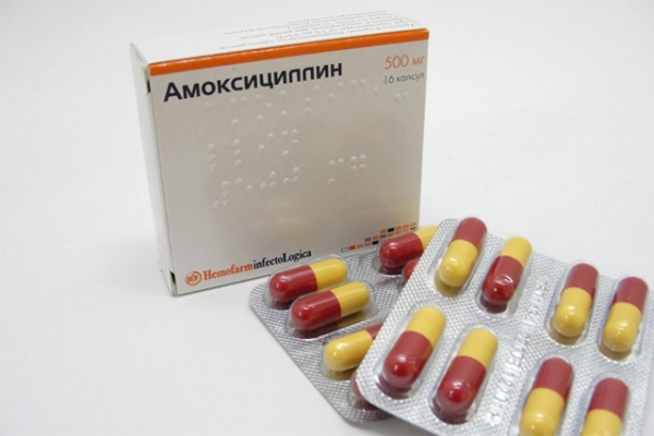 антибиотик амоксициллин - лекарство от почек