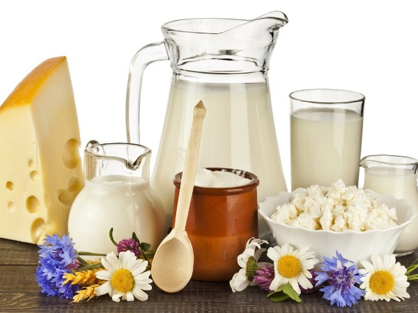 молочные продукты не рекомендуется есть во время диеты при фосфатных камнях