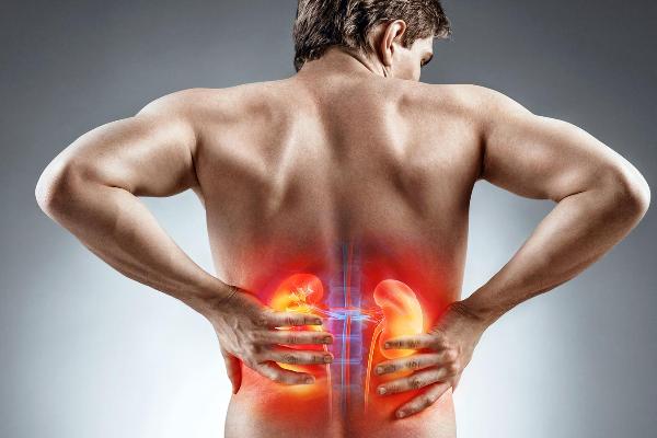 Болят почки или спина: как определить и узнать симптомы боли